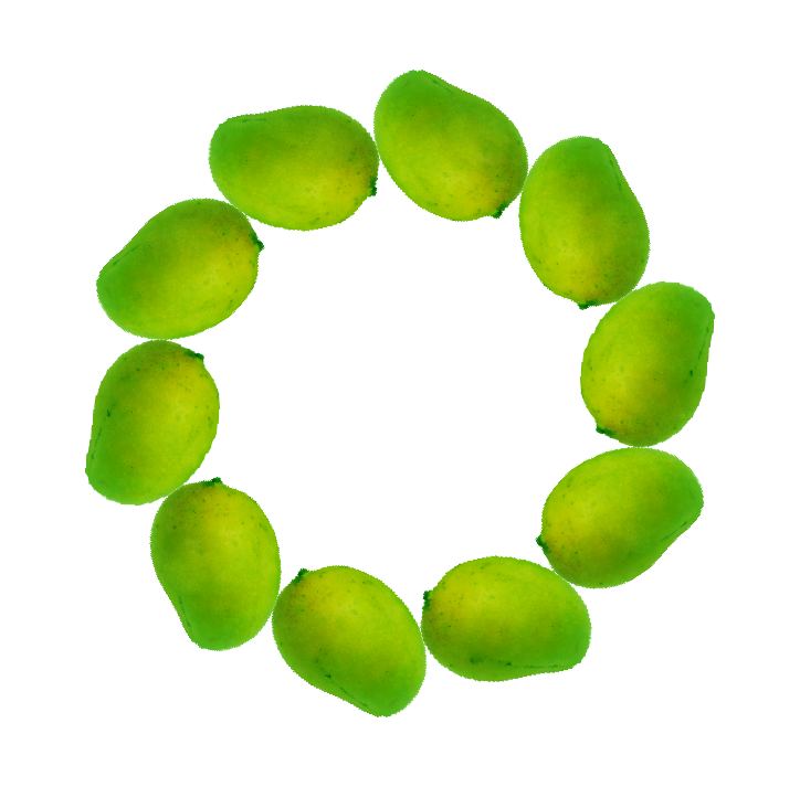 Greeting Festival Wishes Designs Images, Labels and Stickers