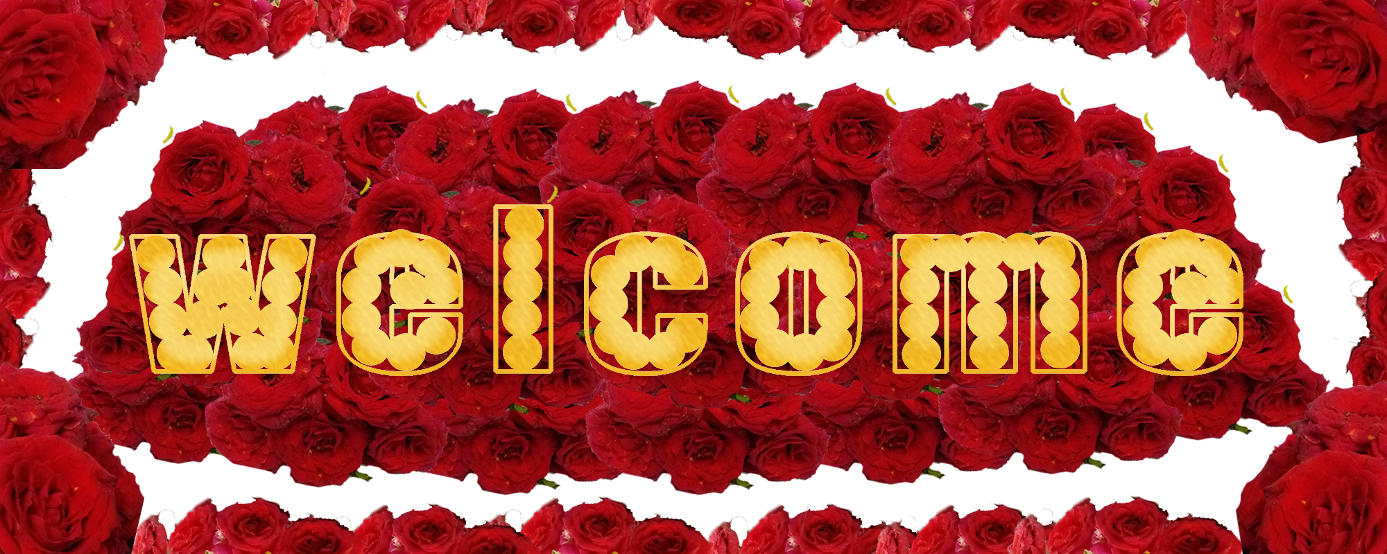 Greeting Wishes Simple Different Modren Design Images, Labels and Stickers